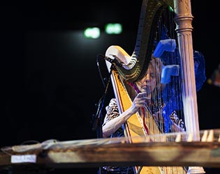 53. Moerser Musikfestival Zeena Parkins Harfe