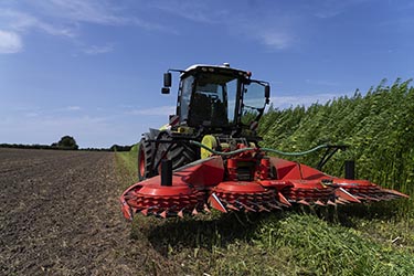 Nutzhanf Ernte am Niederrhein